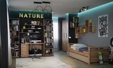 Комната для девочки Nature в Ульяновске