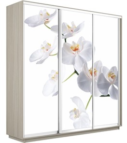 Шкаф трехдверный Е1 Экспресс 1800х600х2200, Орхидея белая/шимо светлый в Ульяновске