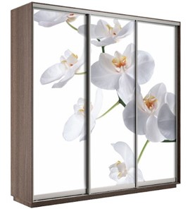 Шкаф Экспресс 2400х600х2200, Орхидея белая/шимо темный в Ульяновске