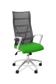 Офисное кресло для руководителя Топ X белый каркас, сетка/ткань TW / серая/салатовая в Ульяновске