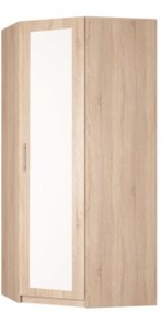 Угловой распашной шкаф Реал (YR-230х884 (9)-М Вар.1), с зеркалом в Ульяновске - предосмотр