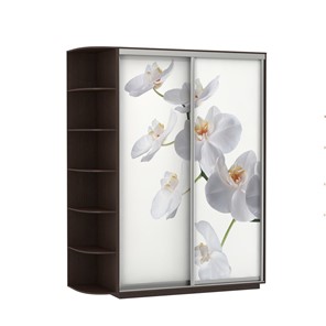 Шкаф 2-створчатый Экспресс 1900x600x2200, со стеллажом, Орхидея белая/венге в Ульяновске - предосмотр