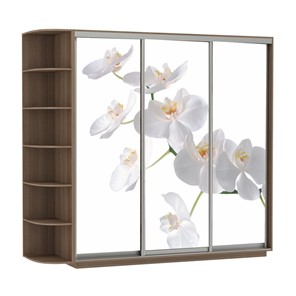 Шкаф Экспресс со стеллажом, 2100х600х2200, Орхидея белая/шимо темный в Ульяновске