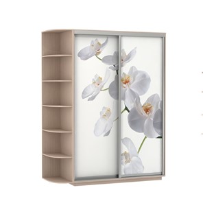 Шкаф Экспресс 1900x600x2200, со стеллажом, Орхидея белая/дуб молочный в Ульяновске