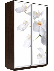 Шкаф 2-створчатый Экспресс 1400x600x2400, Орхидея белая/венге в Ульяновске