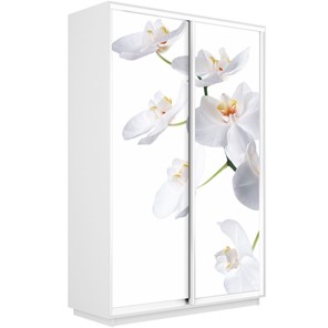 Шкаф 2-дверный Экспресс 1600x450x2400, Орхидея белая/белый снег в Ульяновске