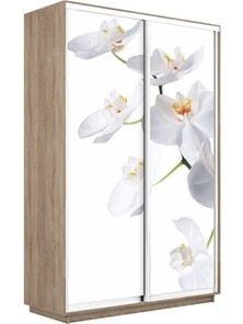 Шкаф Экспресс 1600x450x2400, Орхидея белая/дуб сонома в Ульяновске