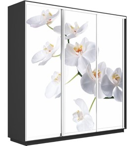 Шкаф 3-х дверный Экспресс 1800х600х2400, Орхидея белая/серый диамант в Ульяновске