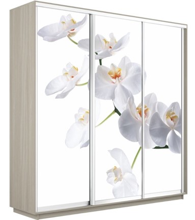 Шкаф трехдверный Экспресс 2400х600х2400, Орхидея белая/шимо светлый в Ульяновске - изображение