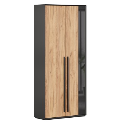 Шкаф для прихожей 2-дверный Неаполь ЛД.134050.000 (Черный/Дуб Золотой) в Ульяновске - изображение