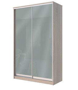 Шкаф 2-х дверный Хит-22-4-12/2-22 с цветным стеклом, средне-серый 074, Дуб сонома в Ульяновске