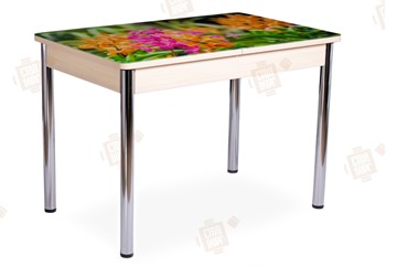 Кухонный стол раскладной Айсберг-02 СТФ, Дуб ЛДСП/полевые цветы/ноги хром прямые в Ульяновске