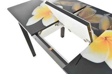 Кухонный раскладной стол Гамбург исп.2 ноги метал. крашеные №23, Фотопечать (Цветы №11) в Ульяновске - предосмотр 5