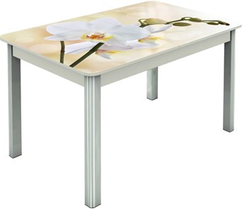 Кухонный раздвижной стол Гамбург исп.2 ноги метал. крашеные №23, Фотопечать (Цветы №5) в Ульяновске