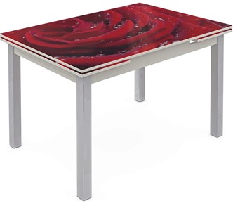 Кухонный стол раскладной Шанхай исп. 2, ноги метал. крашеные №21 Фотопечать (Цветы №39) в Ульяновске