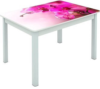 Обеденный стол Мюнхен исп. 1 ноги метал. крашеные №23 Фотопечать (Цветы №16) в Ульяновске