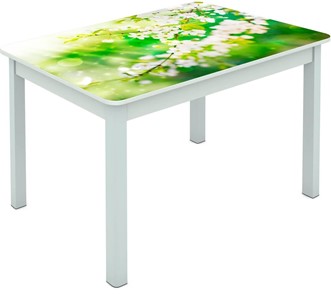 Обеденный стол Мюнхен исп. 1 ноги метал. крашеные №23 Фотопечать (Цветы №45) в Ульяновске