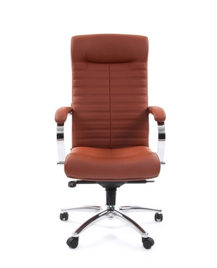Офисное кресло CHAIRMAN 480 Экокожа Terra 111 (коричневая) в Ульяновске - изображение 1