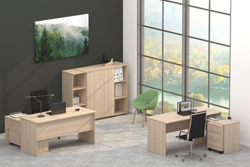 Набор мебели в офис Twin в Ульяновске - предосмотр 4