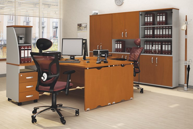 Офисный комплект мебели Милан для 2 сотрудников с тумбочками и большим шкафом в Ульяновске - изображение