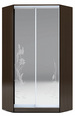 Шкаф угловой 2300х1103, ХИТ У-23-4-66-01, цапля, 2 зеркала, венге аруба в Ульяновске - изображение