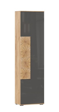 Шкаф одностворчатый Фиджи с декоративными накладками 659.300, Дуб Золотой/Антрацит в Ульяновске - изображение