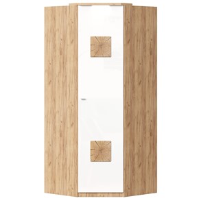 Шкаф угловой 45 с декоративной накладкой Фиджи, 659.248, белый в Ульяновске - предосмотр