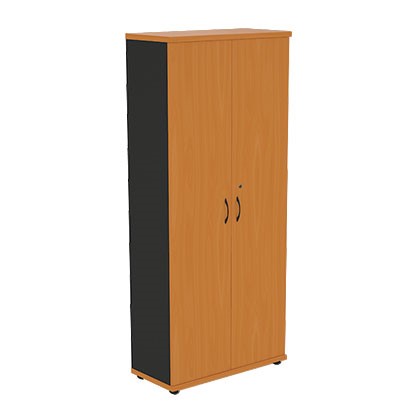 Шкаф двухдверный Моно-Люкс R5S05 в Ульяновске - изображение
